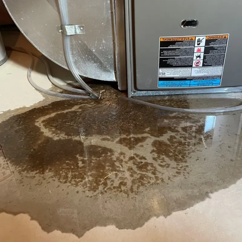 Pipe Burst and Leak Restoration in Pleasant Hills, PA